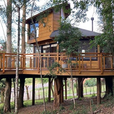 Casa Na Arvore Morada Dos Vagalumes Фарропилья Экстерьер фото