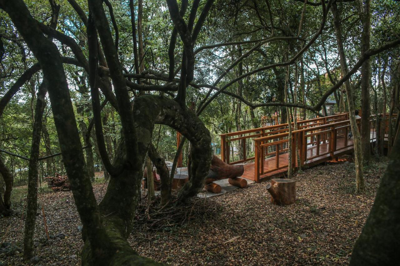 Casa Na Arvore Morada Dos Vagalumes Фарропилья Экстерьер фото